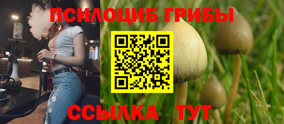 Волоколамск  Галлюциногенные грибы мухоморы  Вход с VPN 